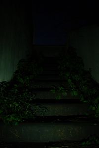 The Climb