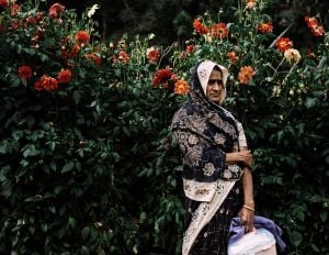 Waiting in the shade of flowers