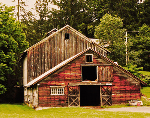 Unpainted Barns -Delaware County, NY