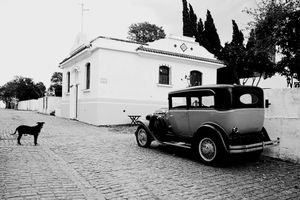 Colonia, 2012