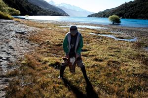 Gustavo, 12, is the youngest son of Ramón Sierra, a gaucho in the chilean Patagonia. They live close to Lake Betrand, where the Baker River has it's spring. The construction of Hydroaysen will change the environment, tranquility will be gone, new workers will come and their life change forever. Gustavo and his family slaughtered a young cow of their livestock.
