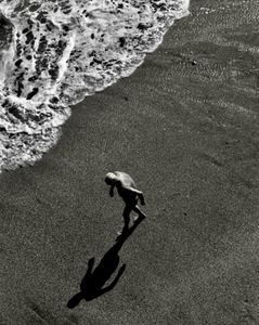 Pacing the Shoreline