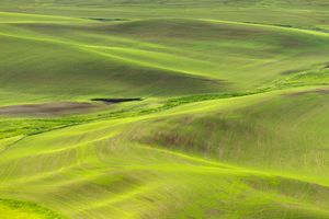 Palouse, WA. Study #15                        (47 1.8016N - 117 17.6561W)