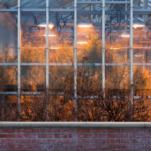 Greenhouse © Eddee Daniel