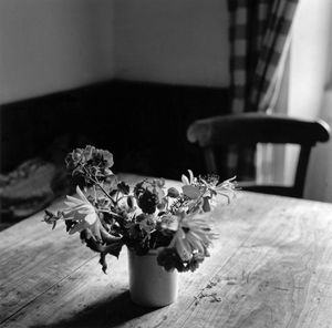 Maialen's Table. Anhauze.