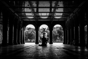 The Quiet Symphony