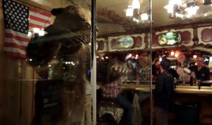 Stuffed Grizzly/Cowboy Bar