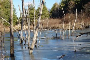 Ice Lake