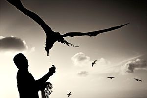 THE BIRD AND THE FISHER
