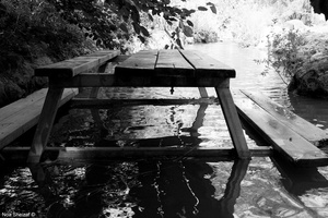 A day by the river 3