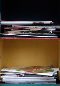 “Ex Libris: What Madison is (and is not) reading,” 2015