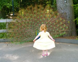 Peacocks