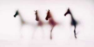 Wild-blur-horses-10.jpg