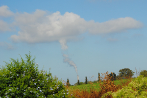 Smoke