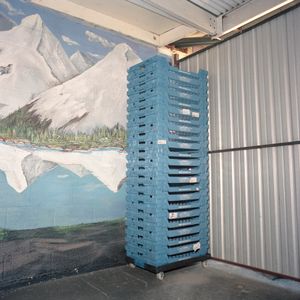 Bakery Trays and Mural, Wurst Fest, New Braufnels, Texas, 2013