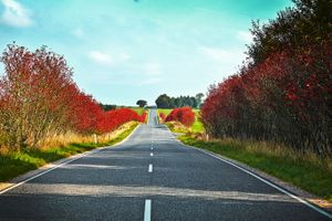 Road