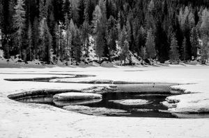Thaw of the ice