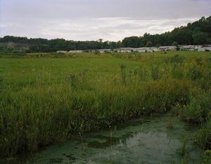 Trailer Homes Next to a Quarry, 2008