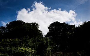 Creation, Growth & Proliferation