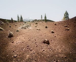 El Teide, view #12