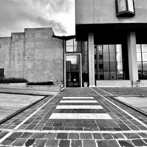 The University of Medicine of Ancona
