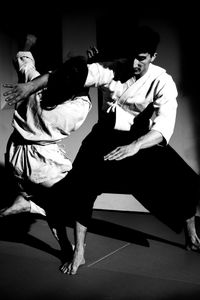Aikido 8