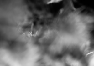 Chaos