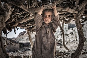Roots Connection
