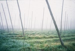 Captured analogue on slide film.