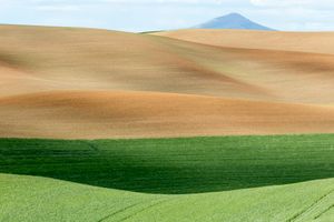 Palouse, WA. Study #24                        (46 47.1971N - 117 20.3265W)