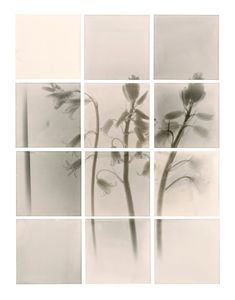 Hybrid Sequence