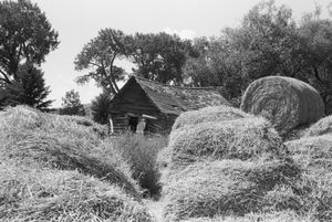 Southern Montana, 2010 © Peter Kayafas