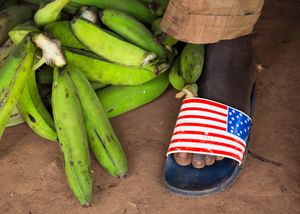 Ivorian Plantains (Category - Street)