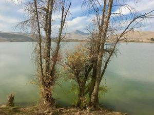Lake Herman, Benicia, CA