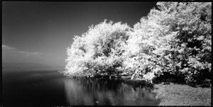 Mother Lake in White #2