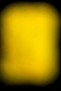 abstraction variations 21