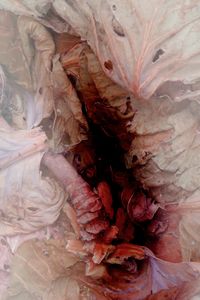 Untitled(Compost)