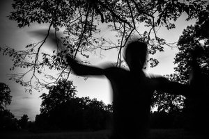 Shadows in the forest