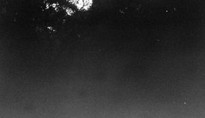 The Nocturnal Forms of Tseung Kwan O Industrial Estate 04