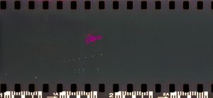 Pink Neon