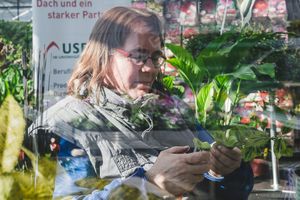 Working in the garden centre and arboretum.