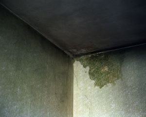 The saddest man in the world