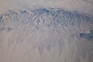 Untitled 12