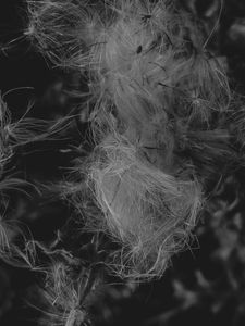 Entangled Memories