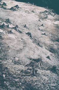 untitled from the series "Waiting for the Awakening"