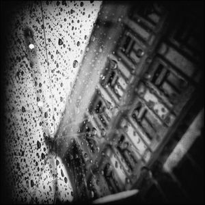 Rain, Oslo #12