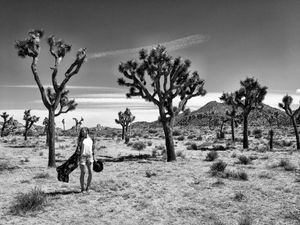 Desert Bohemia