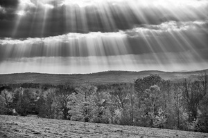 Field In Sunlight