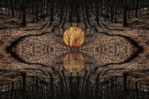 Parallel Universes#2