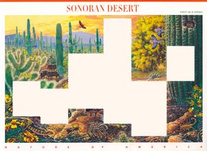 "Nature of America (or what’s left of it)"